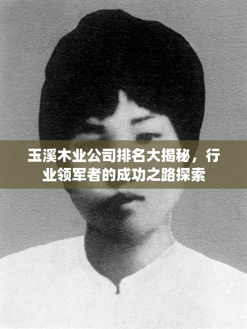 玉溪木业公司排名大揭秘，行业领军者的成功之路探索