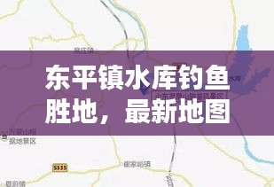 东平镇水库钓鱼胜地，最新地图及独家攻略一网打尽！