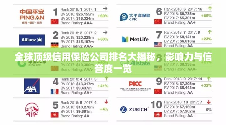 全球顶级信用保险公司排名大揭秘，影响力与信誉度一览