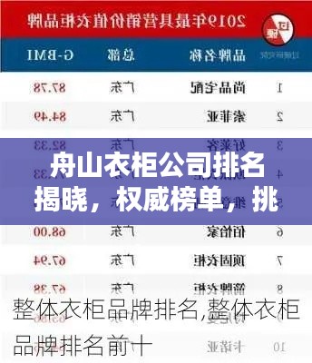 舟山衣柜公司排名揭晓，权威榜单，挑选优质衣柜品牌！