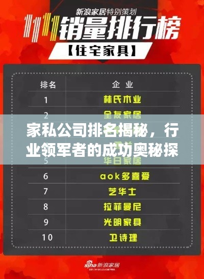 家私公司排名揭秘，行业领军者的成功奥秘探索