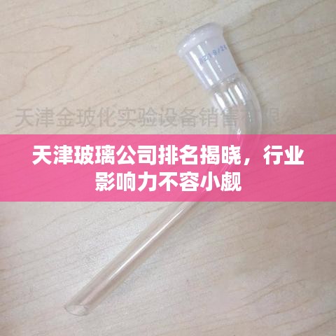 天津玻璃公司排名揭晓，行业影响力不容小觑