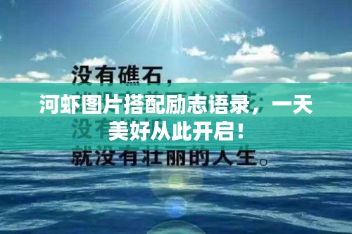 河虾图片搭配励志语录，一天美好从此开启！