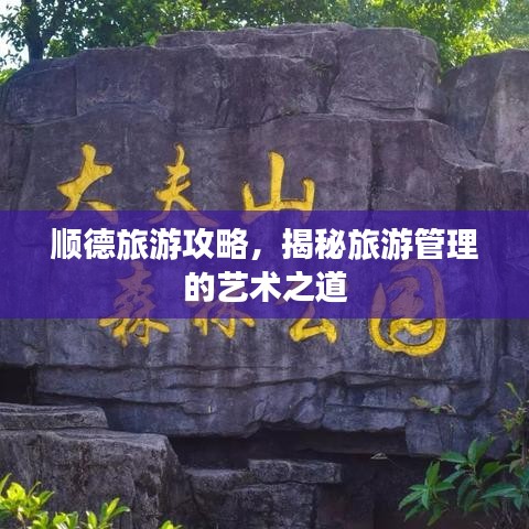 顺德旅游攻略，揭秘旅游管理的艺术之道