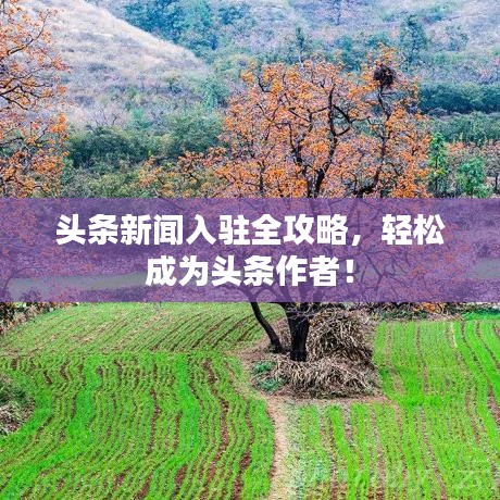 头条新闻入驻全攻略，轻松成为头条作者！