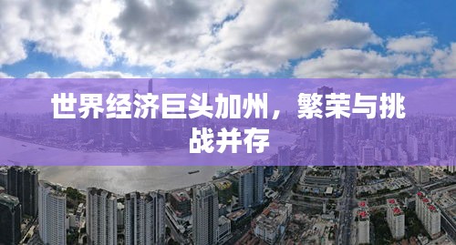 世界经济巨头加州，繁荣与挑战并存
