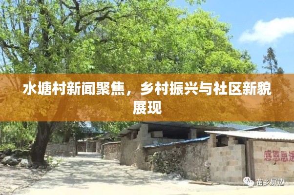水塘村新闻聚焦，乡村振兴与社区新貌展现