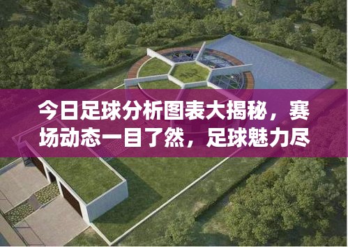 视频中心