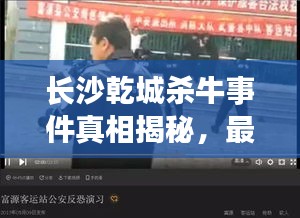 长沙乾城杀牛事件真相揭秘，最新视频报道披露惊人内幕