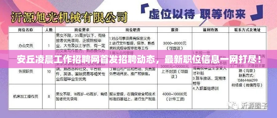 安丘凌晨工作招聘网首发招聘动态，最新职位信息一网打尽！