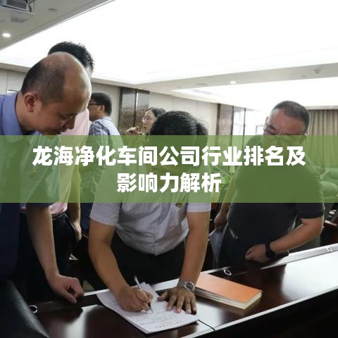 龙海净化车间公司行业排名及影响力解析