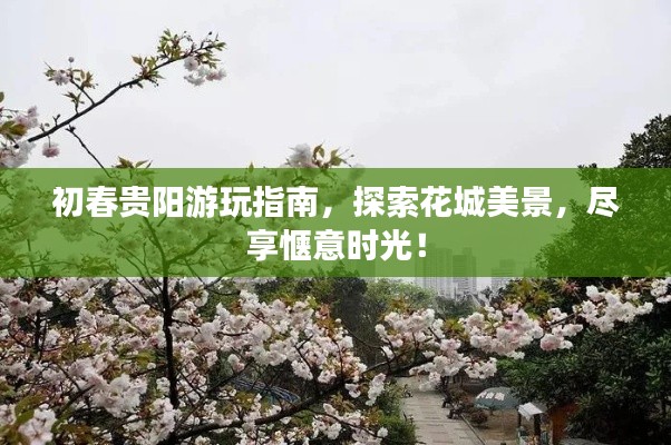 初春贵阳游玩指南，探索花城美景，尽享惬意时光！