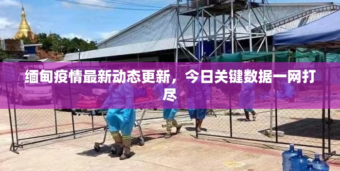 缅甸疫情最新动态更新，今日关键数据一网打尽