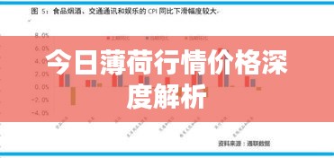 今日薄荷行情价格深度解析