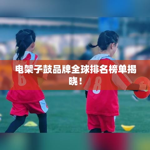 电架子鼓品牌全球排名榜单揭晓！