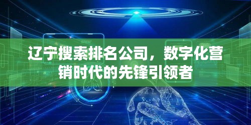 辽宁搜索排名公司，数字化营销时代的先锋引领者