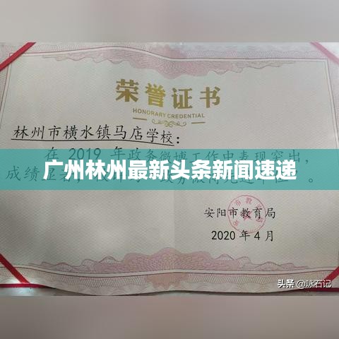 广州林州最新头条新闻速递