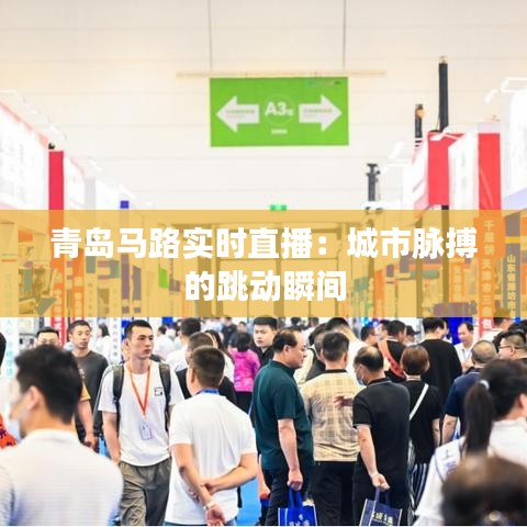 青岛马路实时直播：城市脉搏的跳动瞬间