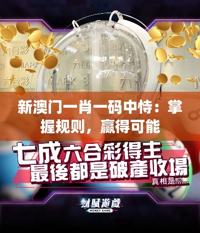 新澳门一肖一码中恃：掌握规则，赢得可能