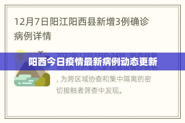 新闻中心 第30页