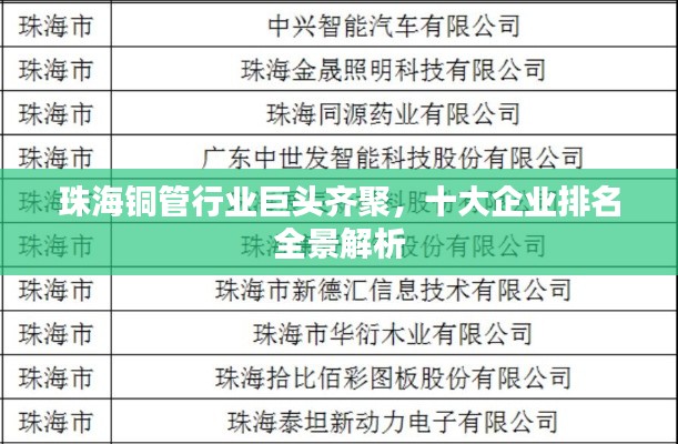 珠海铜管行业巨头齐聚，十大企业排名全景解析