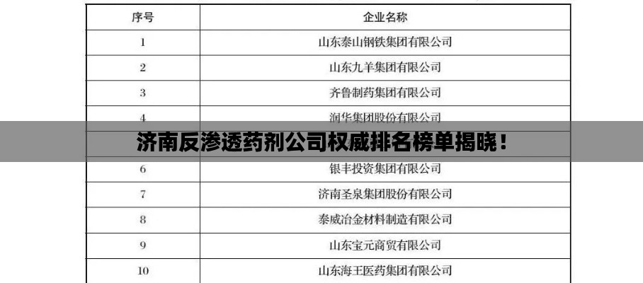 济南反渗透药剂公司权威排名榜单揭晓！