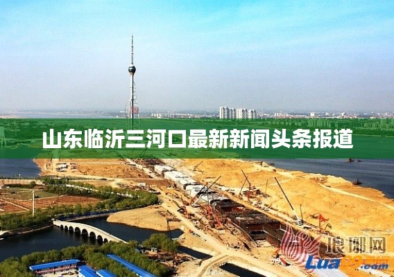 山东临沂三河口最新新闻头条报道