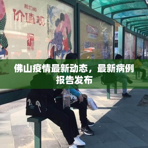 佛山疫情最新动态，最新病例报告发布