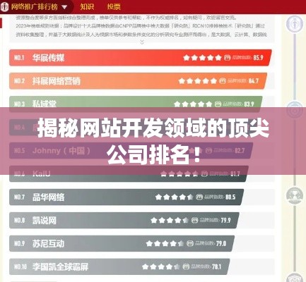 揭秘网站开发领域的顶尖公司排名！