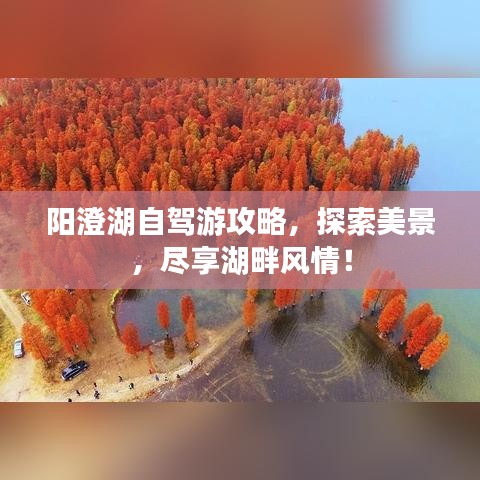 阳澄湖自驾游攻略，探索美景，尽享湖畔风情！