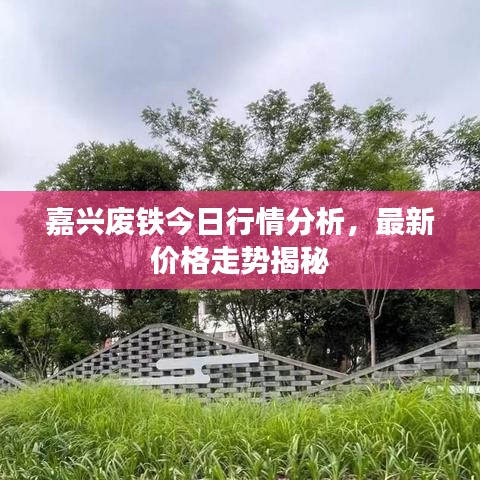 嘉兴废铁今日行情分析，最新价格走势揭秘