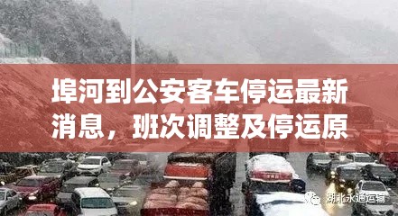 埠河到公安客车停运最新消息，班次调整及停运原因揭秘