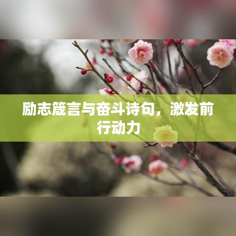 励志箴言与奋斗诗句，激发前行动力