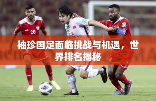 袖珍国足面临挑战与机遇，世界排名揭秘
