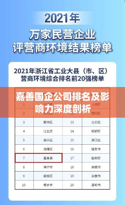 嘉善国企公司排名及影响力深度剖析