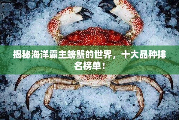 揭秘海洋霸主螃蟹的世界，十大品种排名榜单！