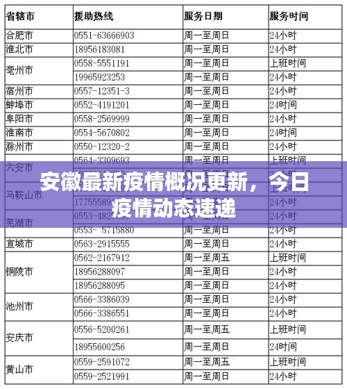 安徽最新疫情概况更新，今日疫情动态速递