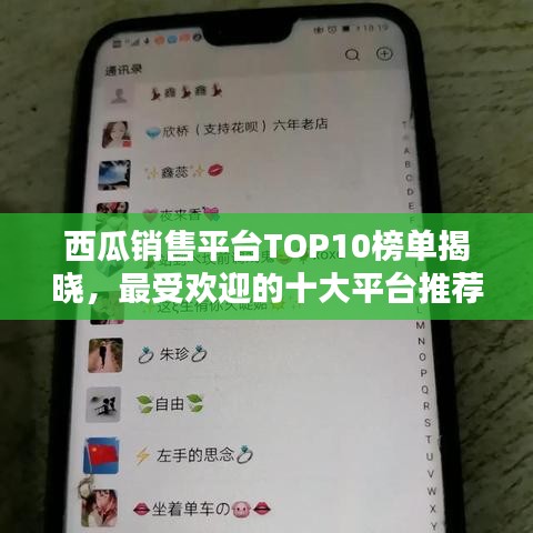 西瓜销售平台TOP10榜单揭晓，最受欢迎的十大平台推荐