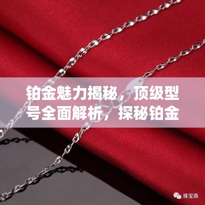 铂金魅力揭秘，顶级型号全面解析，探秘铂金前十排名风采