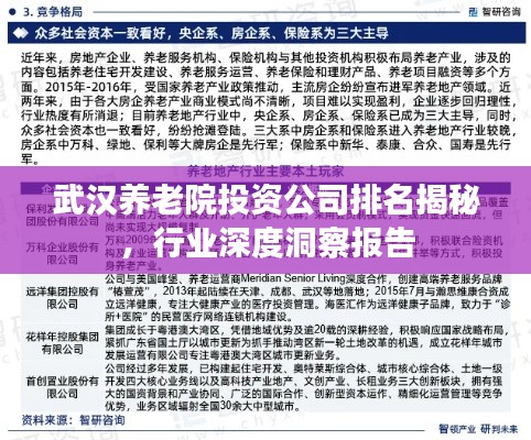 武汉养老院投资公司排名揭秘，行业深度洞察报告