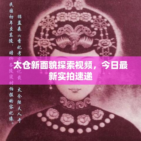 太仓新面貌探索视频，今日最新实拍速递