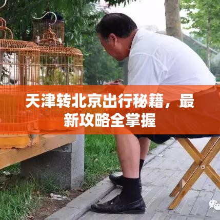 天津转北京出行秘籍，最新攻略全掌握