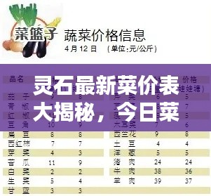 灵石最新菜价表大揭秘，今日菜价全面查询！