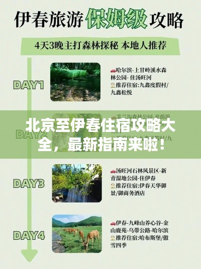 北京至伊春住宿攻略大全，最新指南来啦！