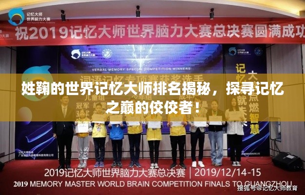 姓鞠的世界记忆大师排名揭秘，探寻记忆之巅的佼佼者！