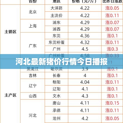 河北最新猪价行情今日播报