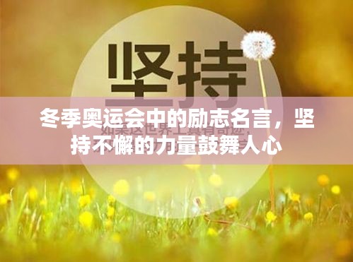 冬季奥运会中的励志名言，坚持不懈的力量鼓舞人心