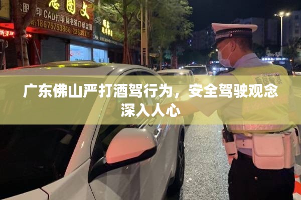 广东佛山严打酒驾行为，安全驾驶观念深入人心