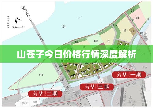 山苍子今日价格行情深度解析