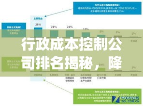 行政成本控制公司排名揭秘，降低成本的重要性与效益分析